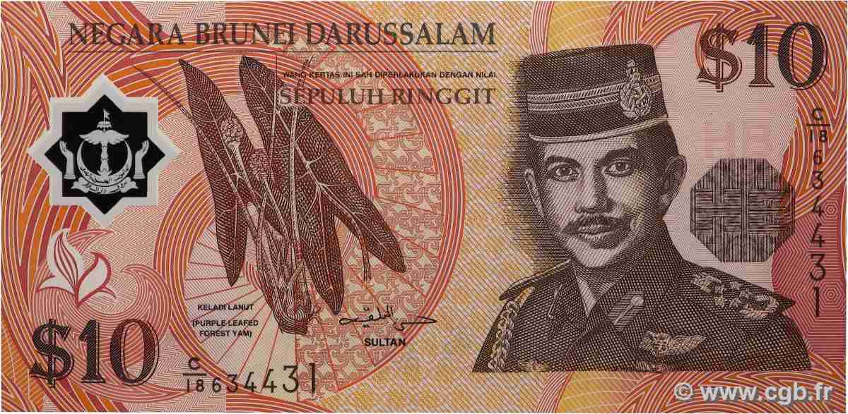 10 Ringgit BRUNEI 2008 P.24c SPL