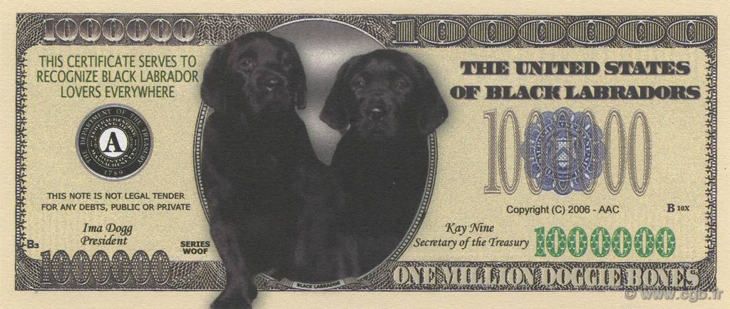 1000000 Dollars ÉTATS-UNIS D AMÉRIQUE  2006  NEUF