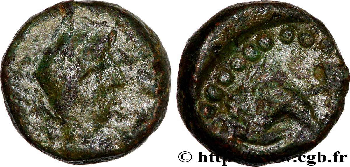 MASSALIA - MARSEILLE Petit bronze au dauphin, tête à droite TB+