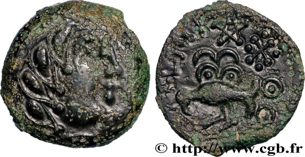 SENONES (Area of Sens) Bronze YLLYCCI à l’oiseau, classe IV XF