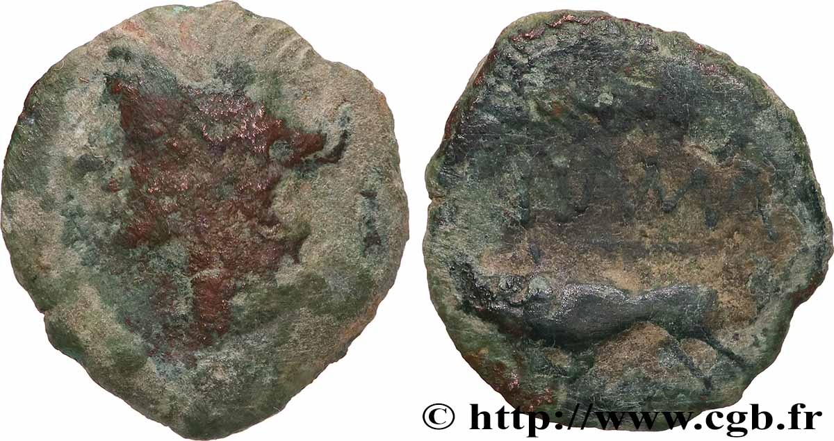 NEMAUSUS - NÎMES Bronze au sanglier NAMA SAT VF