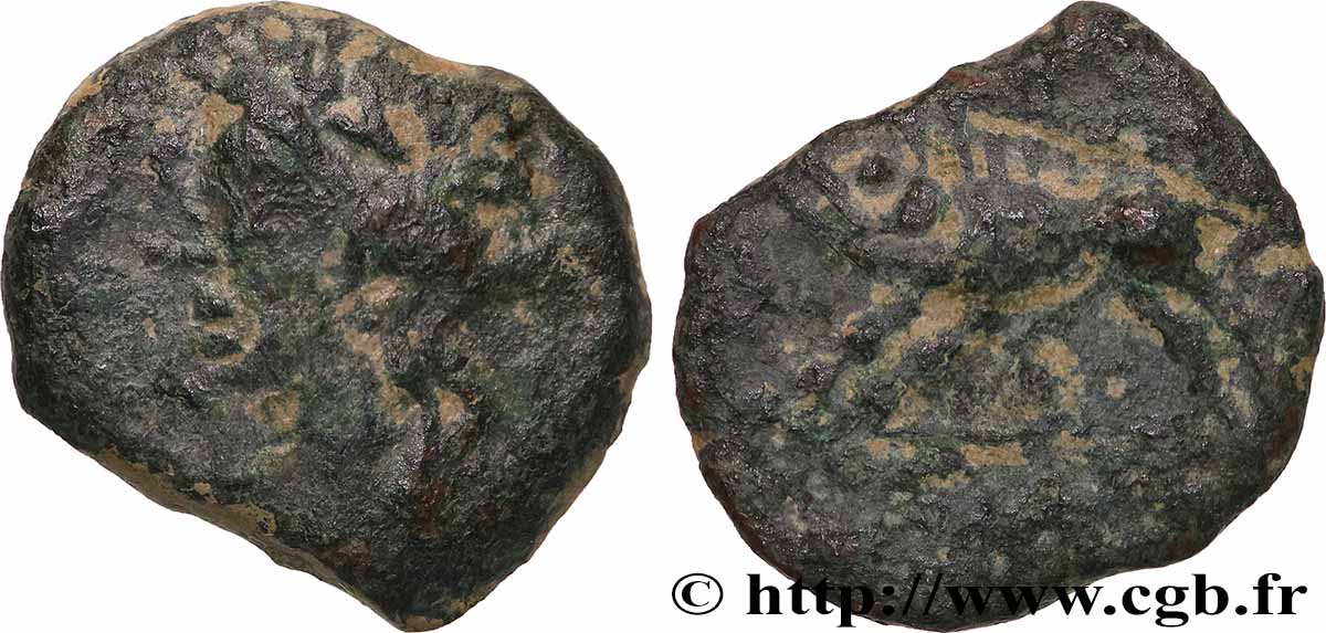 NEMAUSUS - NÎMES Bronze au sanglier NAMA SAT TB+