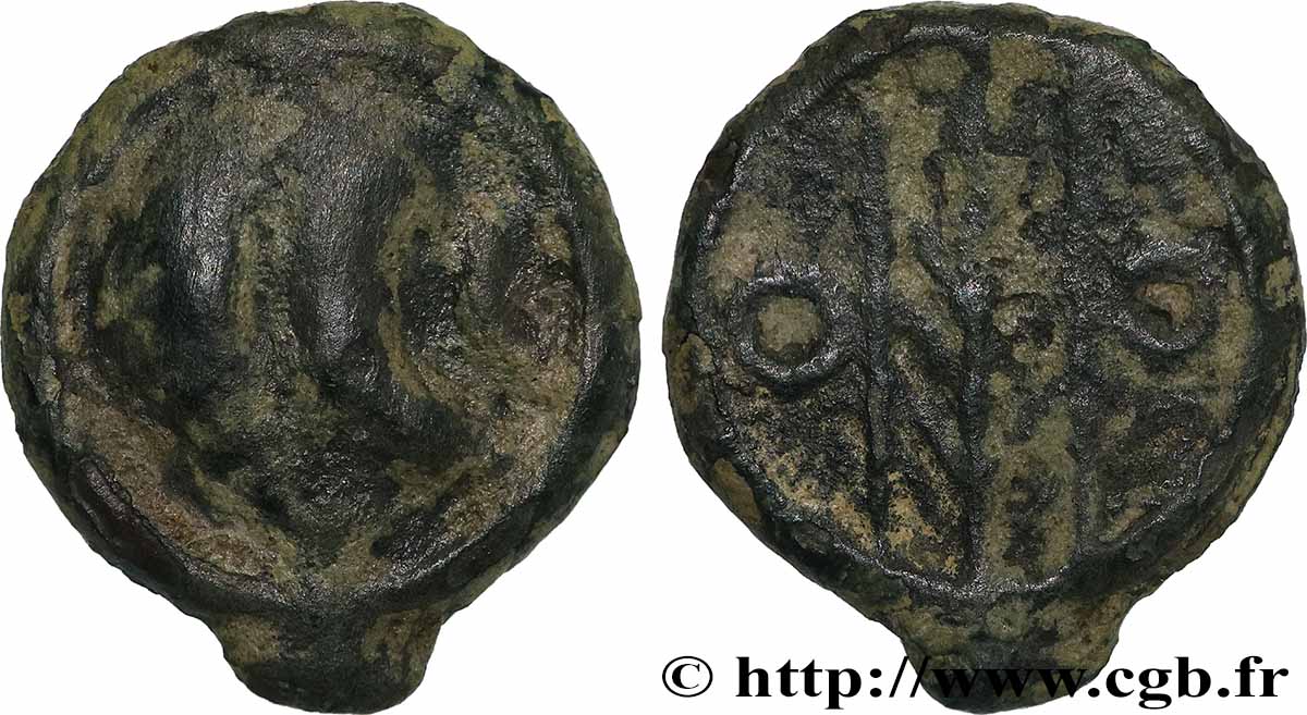 VALLÉE DU RHÔNE Potin au rameau et aux annelets TB+/TTB