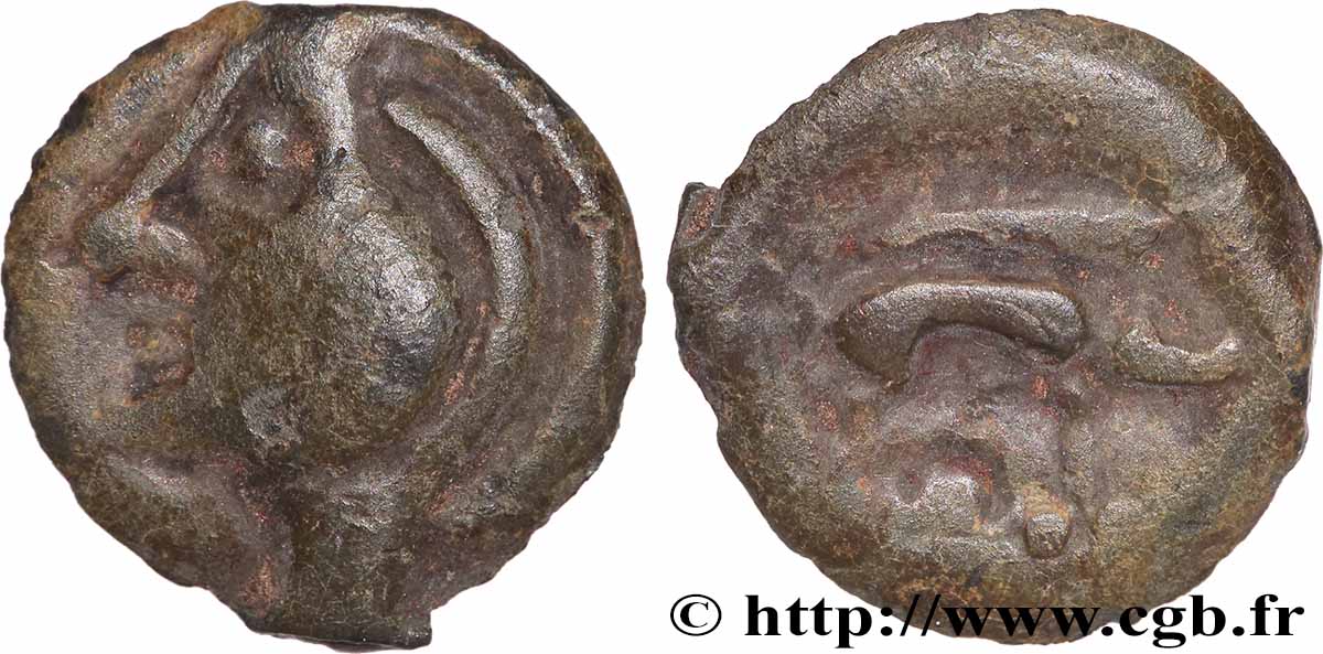 AULERQUES ÉBUROVICES (Région d Évreux) Potin à la tête et au sanglier réaliste TTB