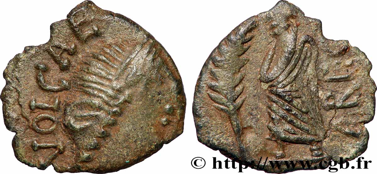 GALLIA - SUDOESTE DE GALLIA VOLCÆ ARECOMICI (Región de Nisma) Bronze au Démos, VOLCAE AREC EBC