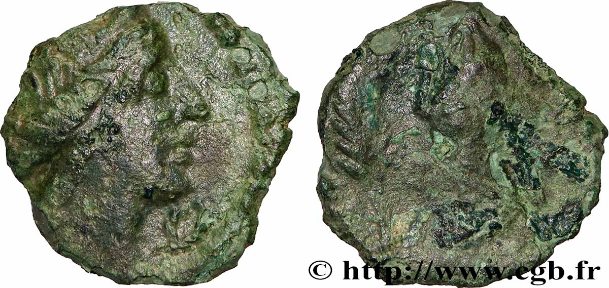 VOLQUES ARÉCOMIQUES (région de Nîmes) Bronze au Démos, VOLCAE AREC TB+/TB