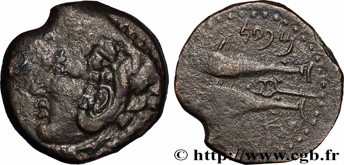 ESPAGNE - GADIR/GADES (Provincia of Cadiz) Chalque à la tête de Melqart et aux thons XF