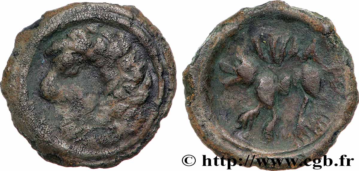 DUROCASSIS (Area of Dreux) Bronze SNIA au loup VF