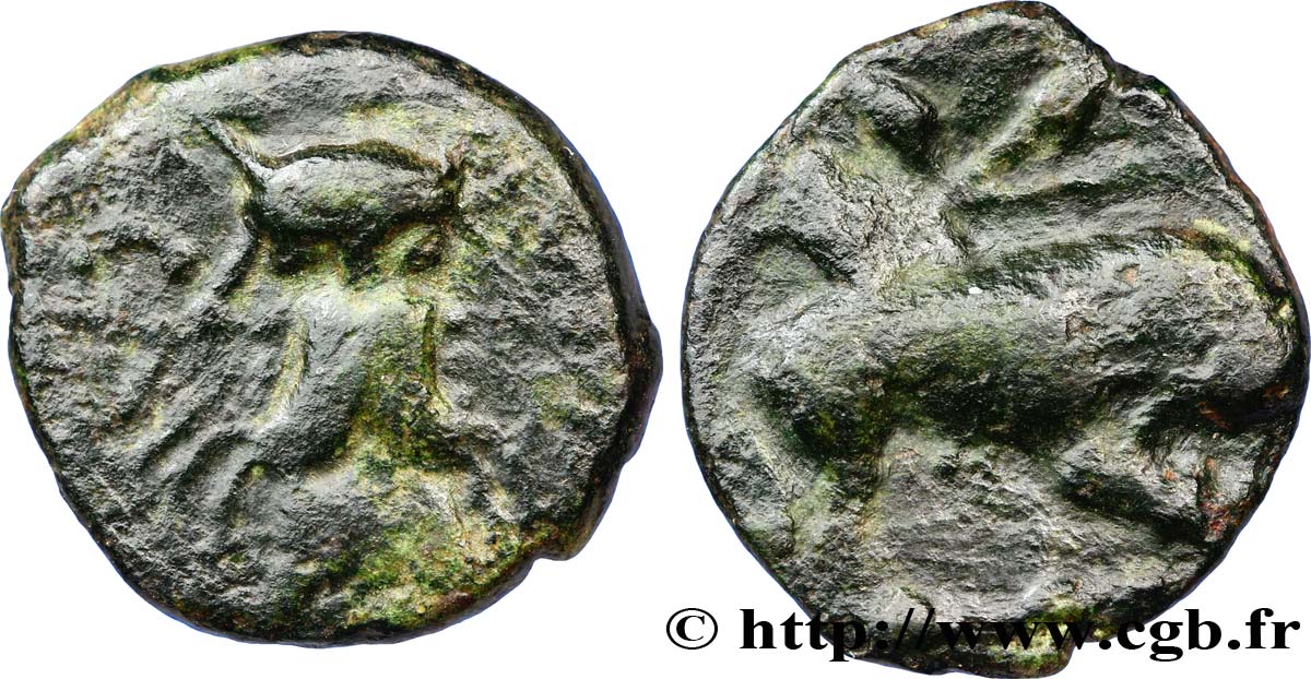 GALLIEN - BELGICA - ATREBATES (Region die Arras) Bronze CAITIO/AMANDI fSS
