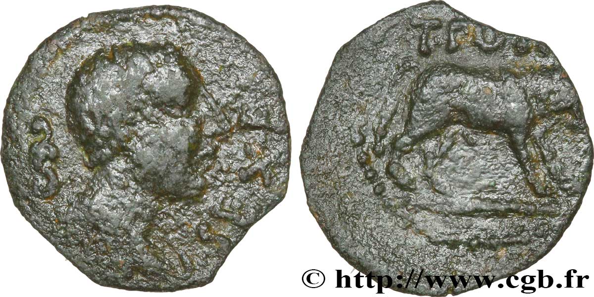 CAVARII (Regione di Avignon eOrange) Bronze au taureau T.POM / SEX.F q.BB