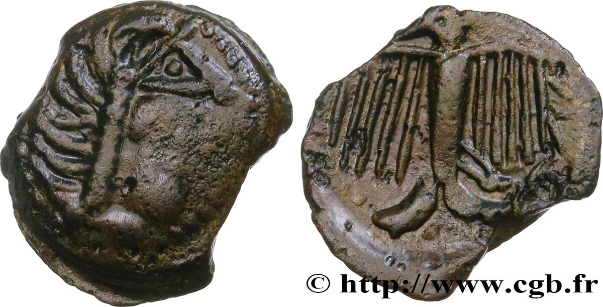 GALLIA - CARNUTES (Area of the Beauce) Bronze à l’aigle et à la rouelle, tête à droite VF/XF