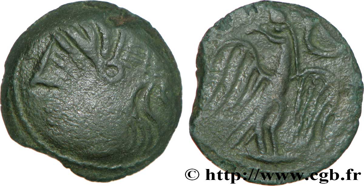 GALLIA - CARNUTES (Región de la Beauce) Bronze lourd à l’aigle et au croissant BC+/MBC