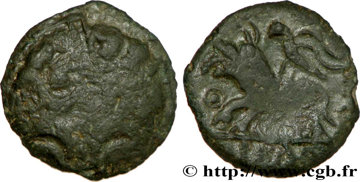 GALLIA - CARNUTES (Regione della Beauce) Bronze COIIAT, lion à gauche q.MB/MB
