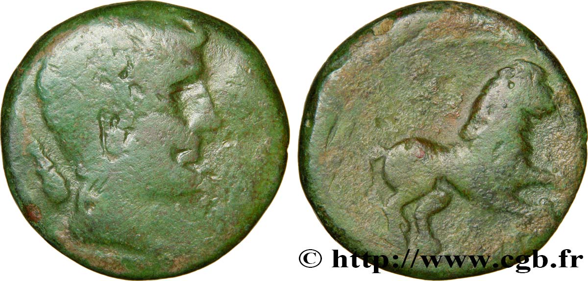 GALLIA - SUDOVESTE DELLA GALLIA LONGOSTALETES (Regione di Narbonne) Bronze au lion q.BB