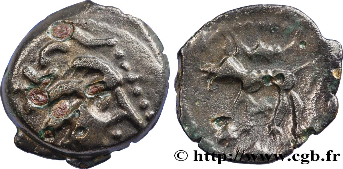 GALLIA - CARNUTES (Beauce area) Bronze au loup, tête à droite XF