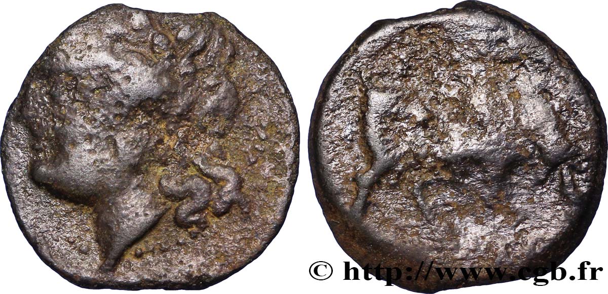 MASSALIA - MARSEILLES Moyen bronze au taureau, grosse tête q.BB/q.MB