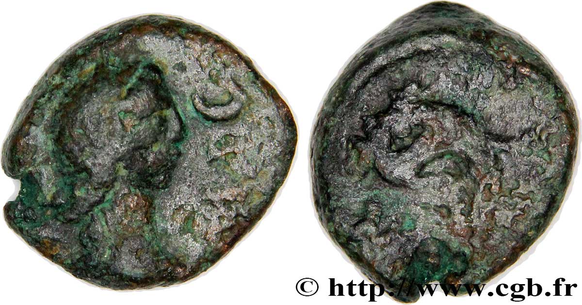 MASSALIA - MARSEILLES Petit bronze au dauphin, tête à droite VF/VF