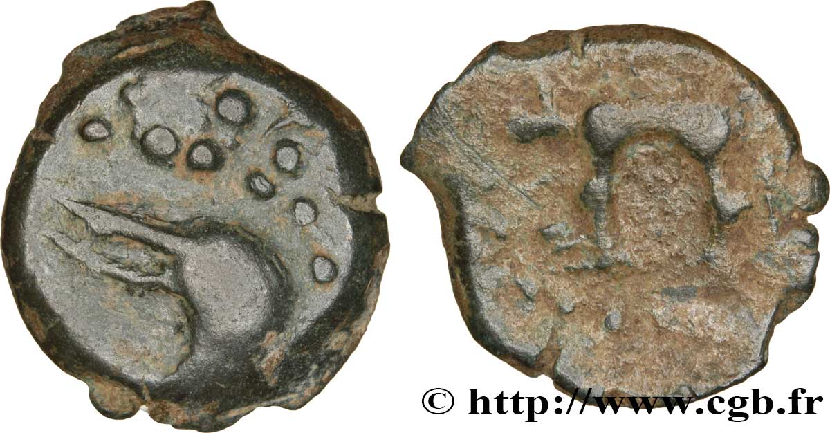 BITURIGES CUBI, UNSPECIFIED Bronze au sanglier, petit module XF/VF