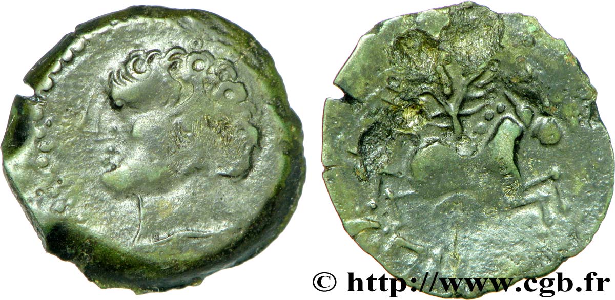 GALLIEN - BELGICA - MELDI (Region die Meaux) Bronze EPENOS, imitation anépigraphe au droit SS