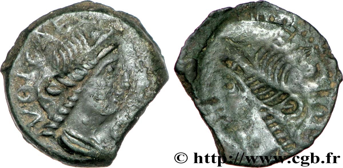 GALLIA - VOLCÆ ARECOMICI (Area of Nîmes) Bronze au Démos, VOLCAE AREC - incus VF/VF