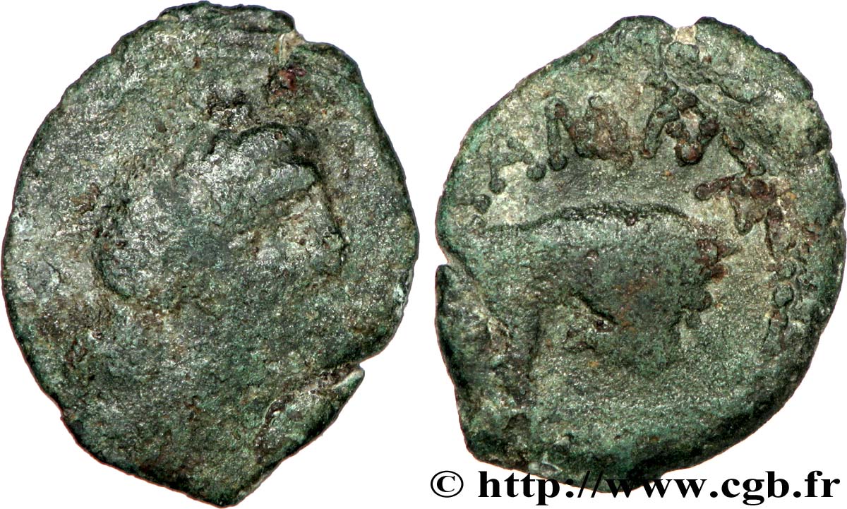 SAMNAGENSES - imitation marseillaise (région d UZES ?) Bronze au taureau TB/TTB