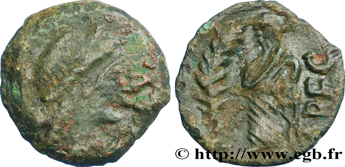 GALLIA - SUDOESTE DE GALLIA VOLCÆ ARECOMICI (Región de Nisma) Bronze au Démos, VOLCAE AREC BC+/MBC
