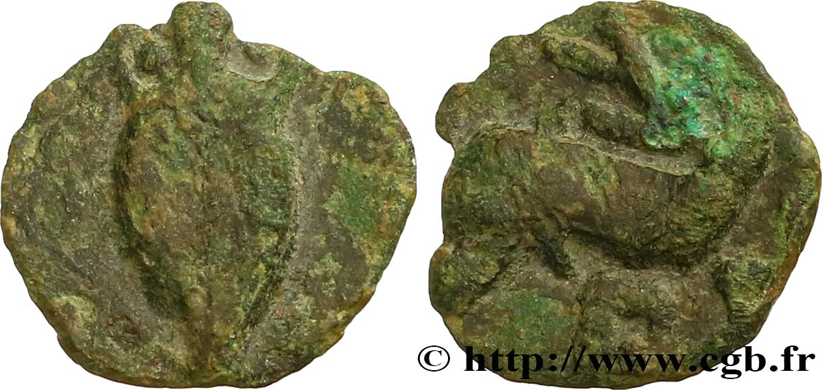 GALLIA - NEDENES (oppidum of Montlaures) Petit bronze à l’amphore et au dauphin VF