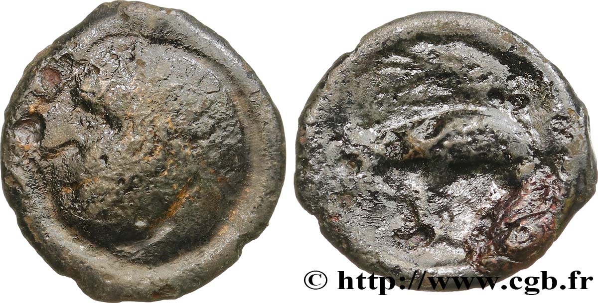 GALLIEN - CARNUTES (Region die Beauce) Bronze ou potin (?) à l’aigle et au sanglier SS