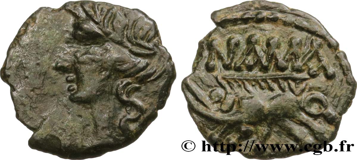 NEMAUSUS - NÎMES Bronze au sanglier NAMA SAT AU