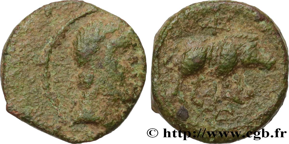 GALLIA - SÜWESTGALLIEN - PETROCORII (Region die Périgueux) Bronze LVCCIOS au sanglier fSS