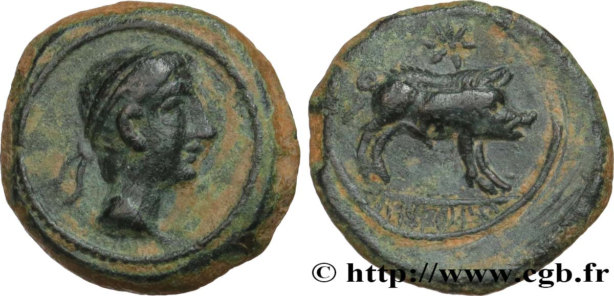 SPAGNA - IBERICO - CASTULO/KASTILO (Provincia di Jaen/Calzona) Quadrans de bronze au sanglier q.SPL