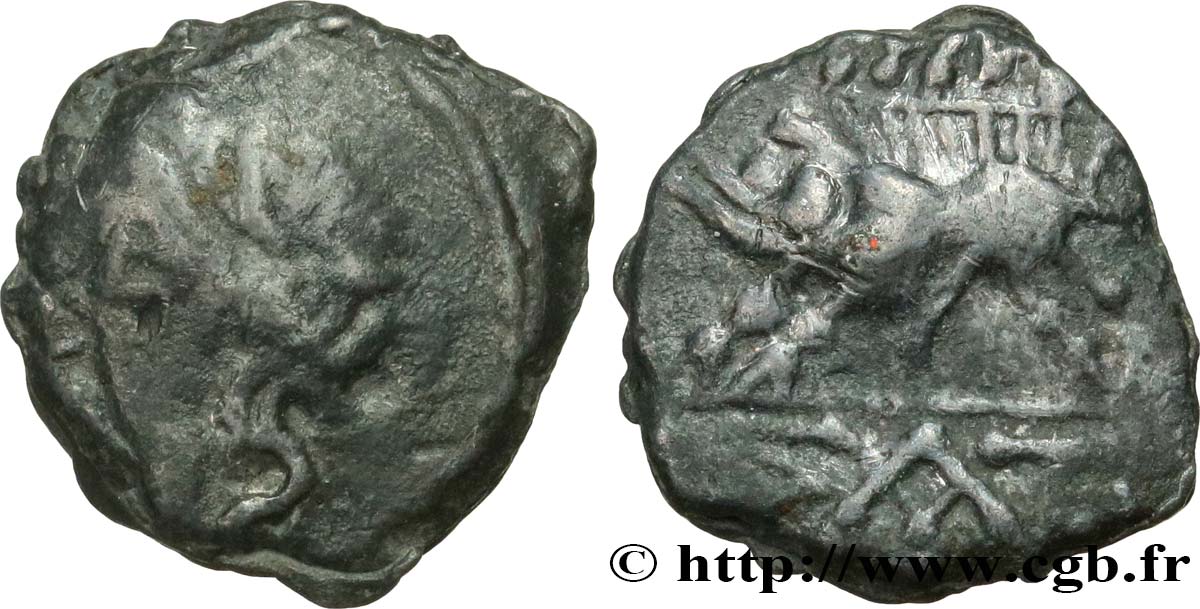 NEMAUSUS - NIMES Bronze au sanglier NAMA SAT SS