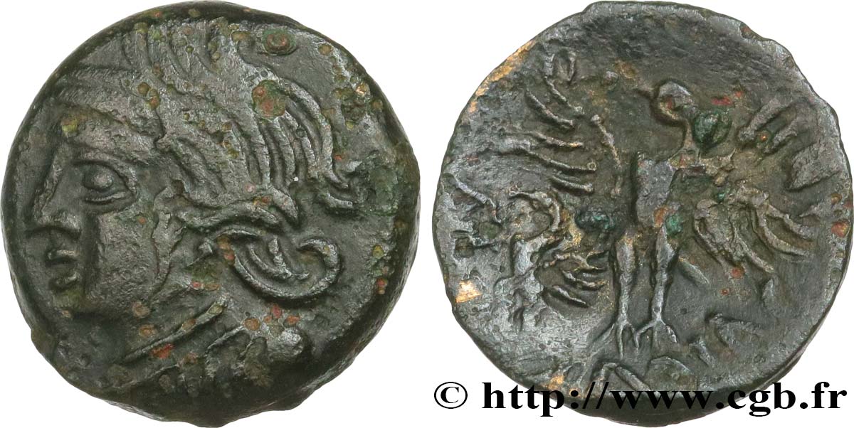 GALLIA - BITURIGES CUBI (Región de Bourges) Bronze VANDIINOS BC+