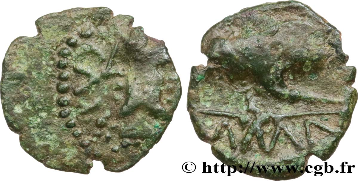 GALLIA BELGICA - ATREBATES (Area of Arras) Bronze CAITIO/AMANDI VF