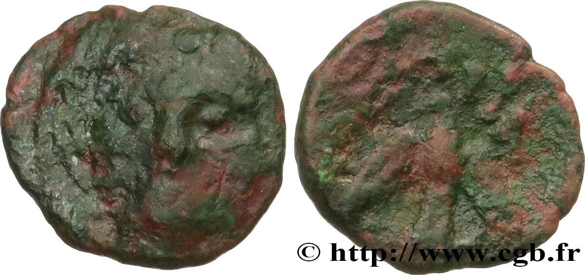 SEGUSIAVI / ÆDUI, Inciertas (Región de Feurs (Forez) / Mont-Beuvray) Bronze SECISV à la tête de face MBC