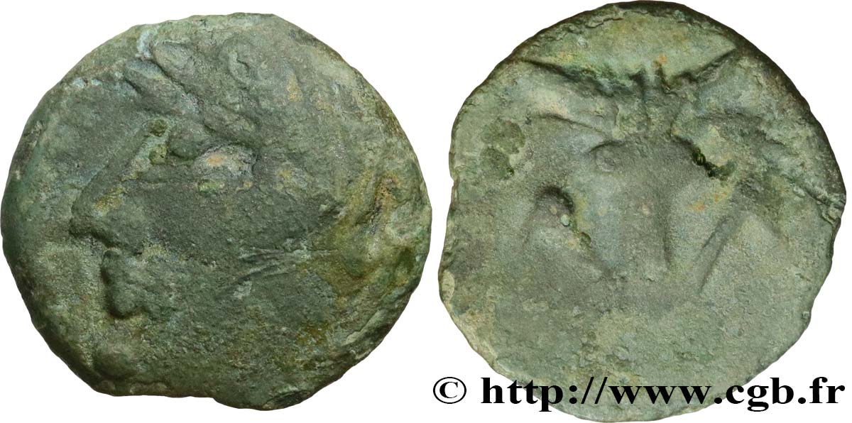 GALLO-BELGIAN - CELTIC Bronze au bucrane XF