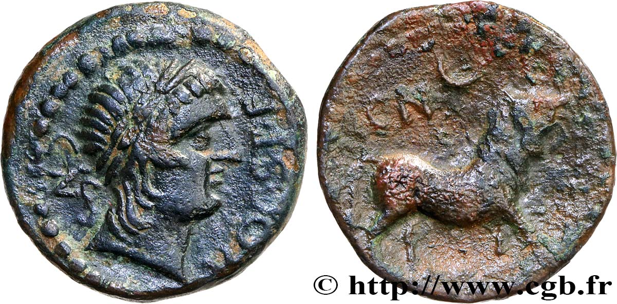 HISPANIA - CASTULO/KASTILO (Province de Jaen/Calzona) Demi unité de bronze ou semis TTB+/TTB