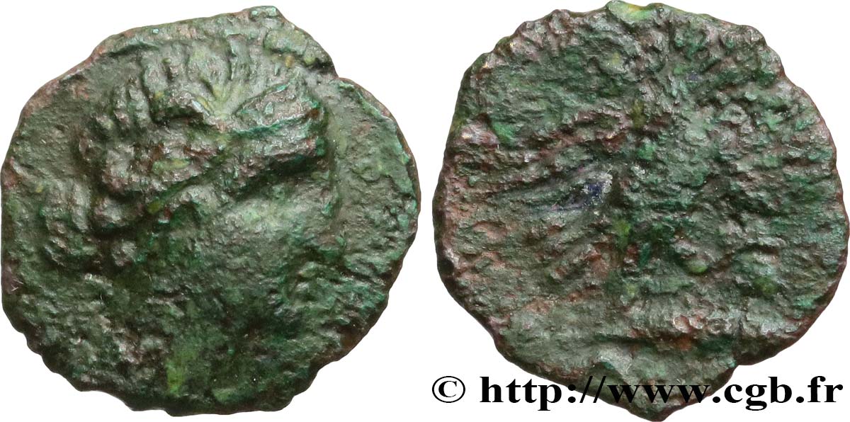 GALLIEN - SÜDWESTGALLIEN - VOLCÆ ARECOMICI (Region die Nîmes) Bronze AR / VOLC, à l aigle fSS/SGE