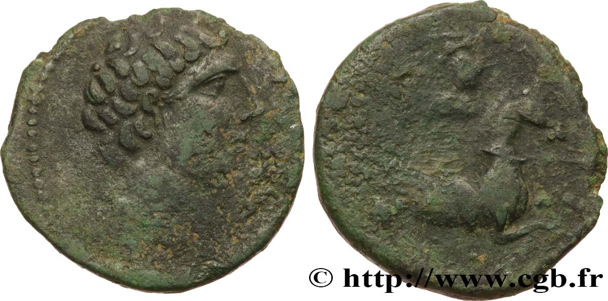 HISPANIA - LAYETANOS - LAURO Unité de bronze au cavalier ou as S