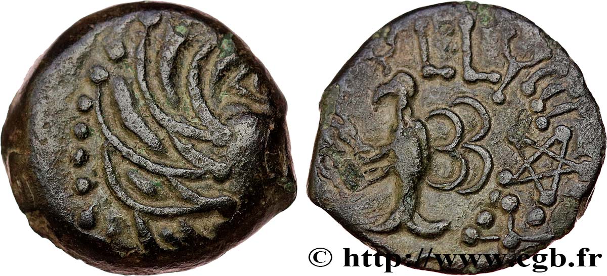 GALLIEN - SENONES (Region die Sens) Bronze YLLYCCI à l’oiseau, classe VIIa fVZ