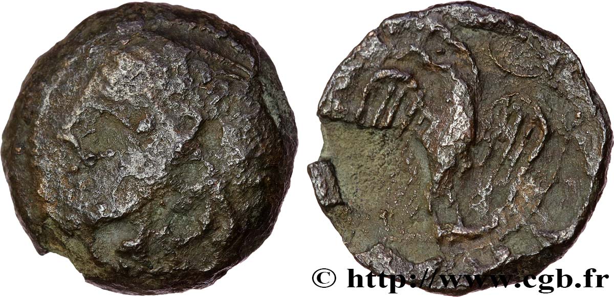 GALLIA - CARNUTES (Regione della Beauce) Bronze lourd à l’aigle et au croissant q.MB/MB