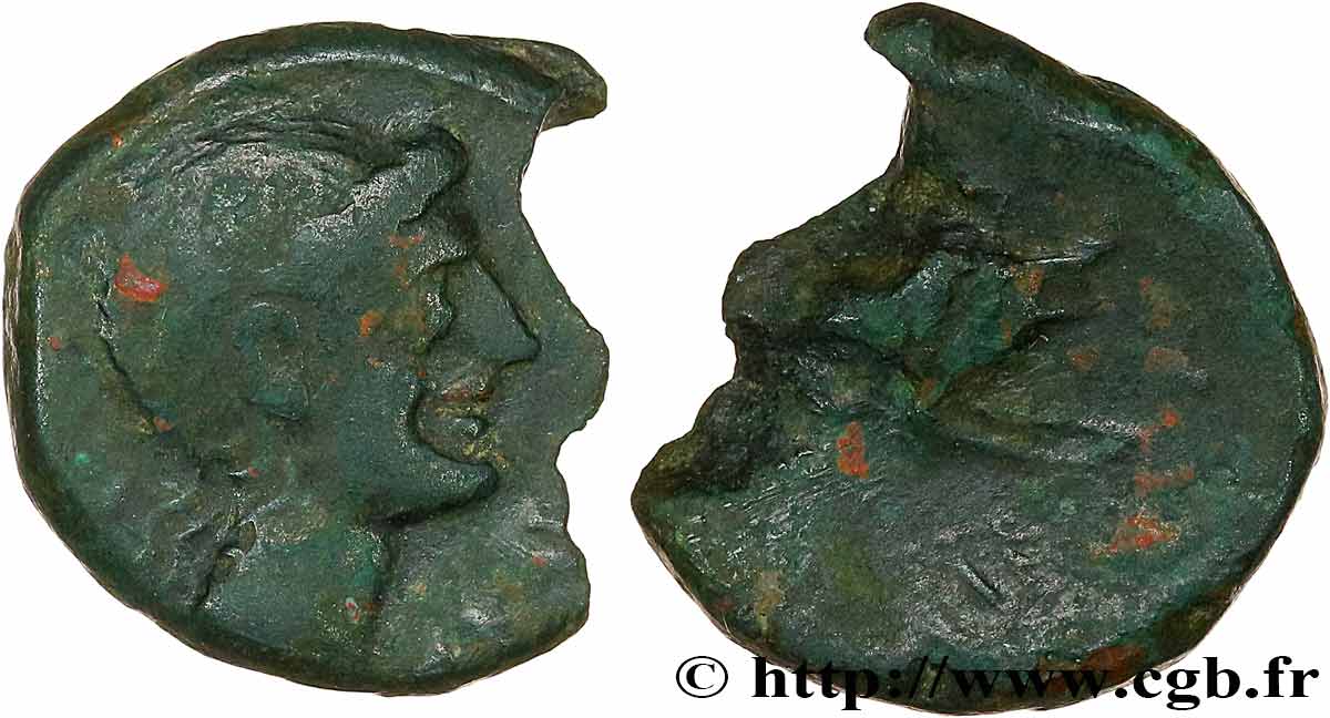 GALLIA - SUDOVESTE DELLA GALLIA LONGOSTALETES (Regione di Narbonne) Bronze KAIANTOLO au sanglier BB/q.BB