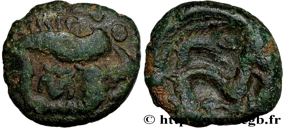 GALLIA BELGICA - AMBIANI (Región de Amiens) Bronze au sanglier BC+