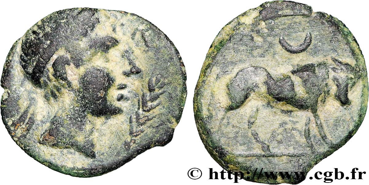 HISPANIA - IBERICO - CASTULO/KASTILO (Province of Jaen/Calzona) Demi-unité de bronze ou semis, (PB, Æ 20) XF