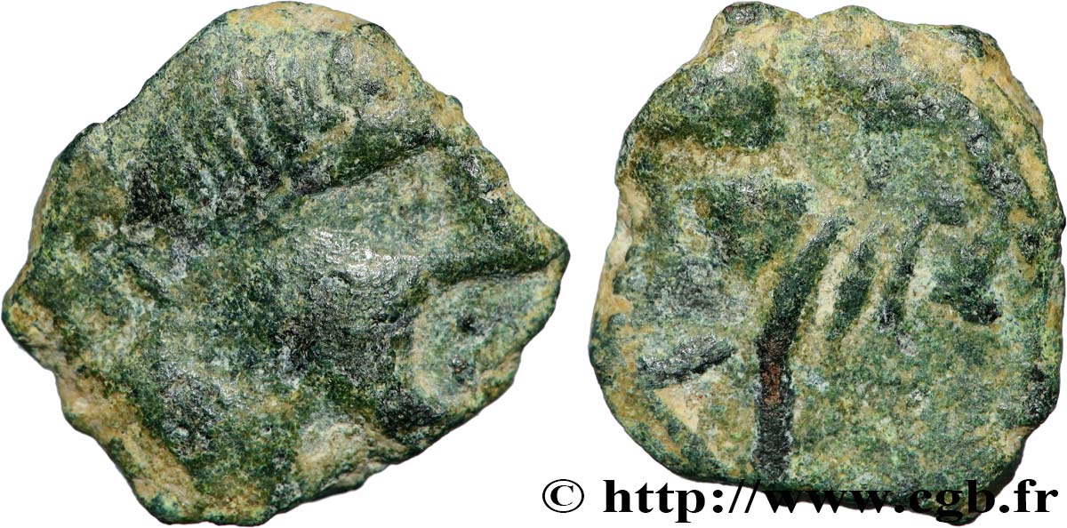 SPAGNA - IBERICO - CASTULO/KASTILO (Provincia di Jaen/Calzona) Demi-unité de bronze ou semis au taureau q.BB/MB
