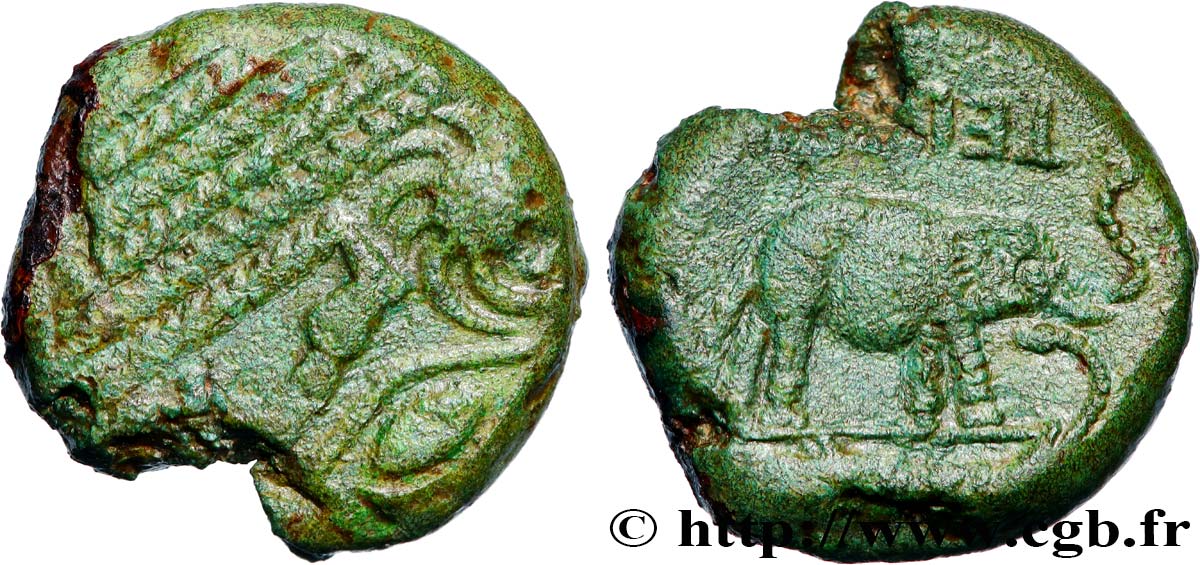 GALLIA - BELGICA - BELLOVACI (Regione di Beauvais) Statère de bronze à l’éléphant C.VILI - TELEDHI q.SPL/BB