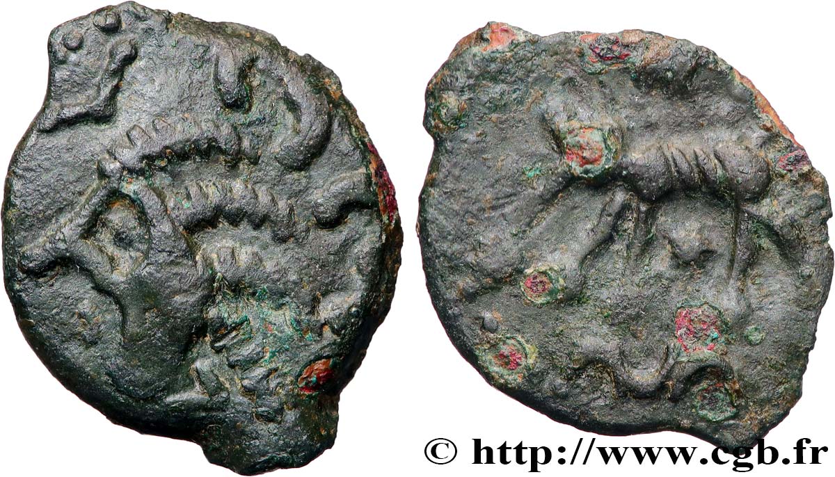GALLIA - CARNUTES (Beauce area) Bronze au loup, tête à gauche XF/VF
