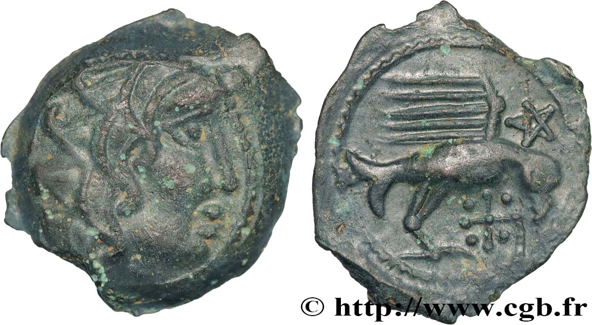 GALLIA - CARNUTES (Beauce area) Bronze à l’aigle et à la croisette XF/AU
