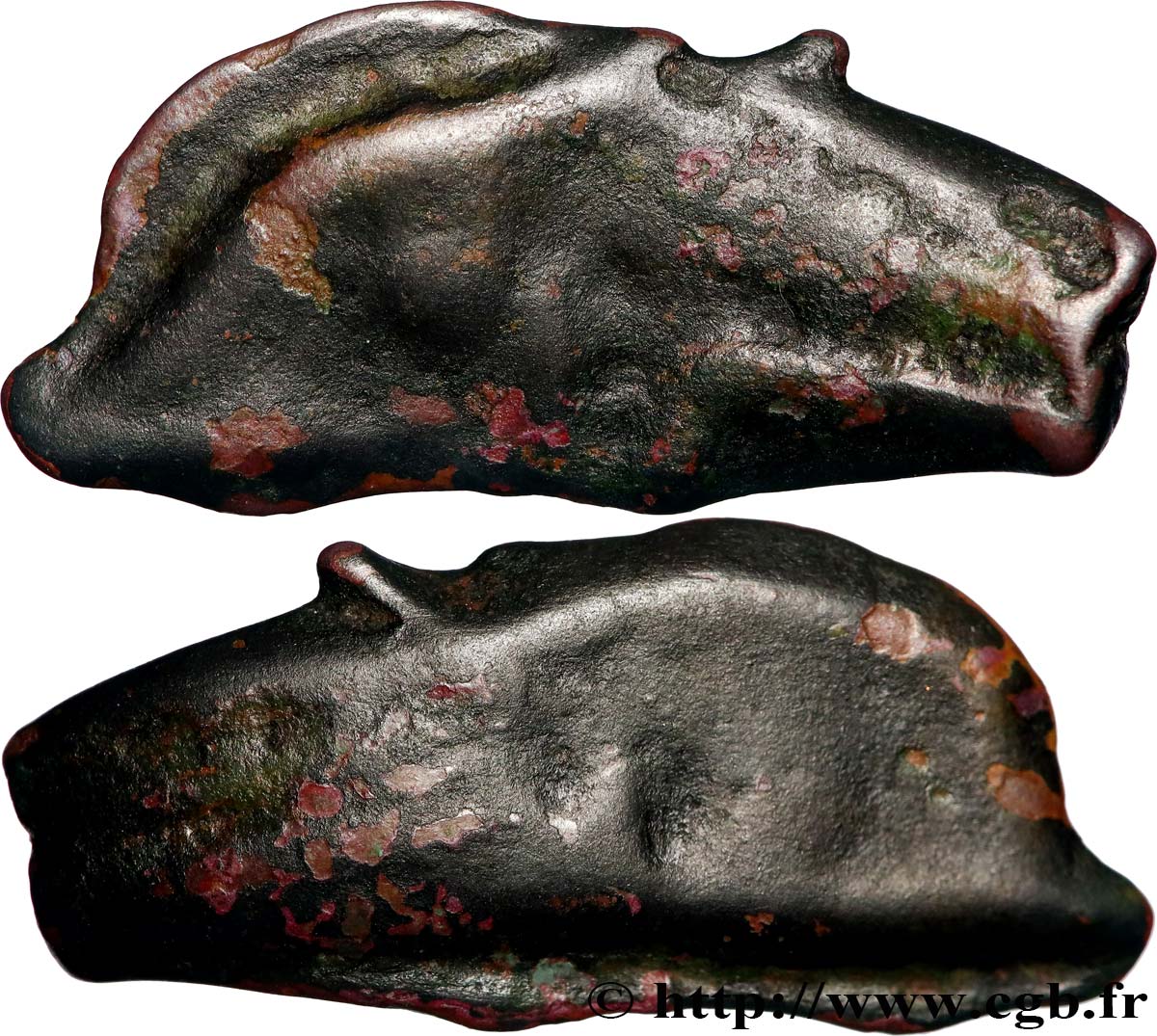 SARMATIE - OLBIA Dauphin TB+