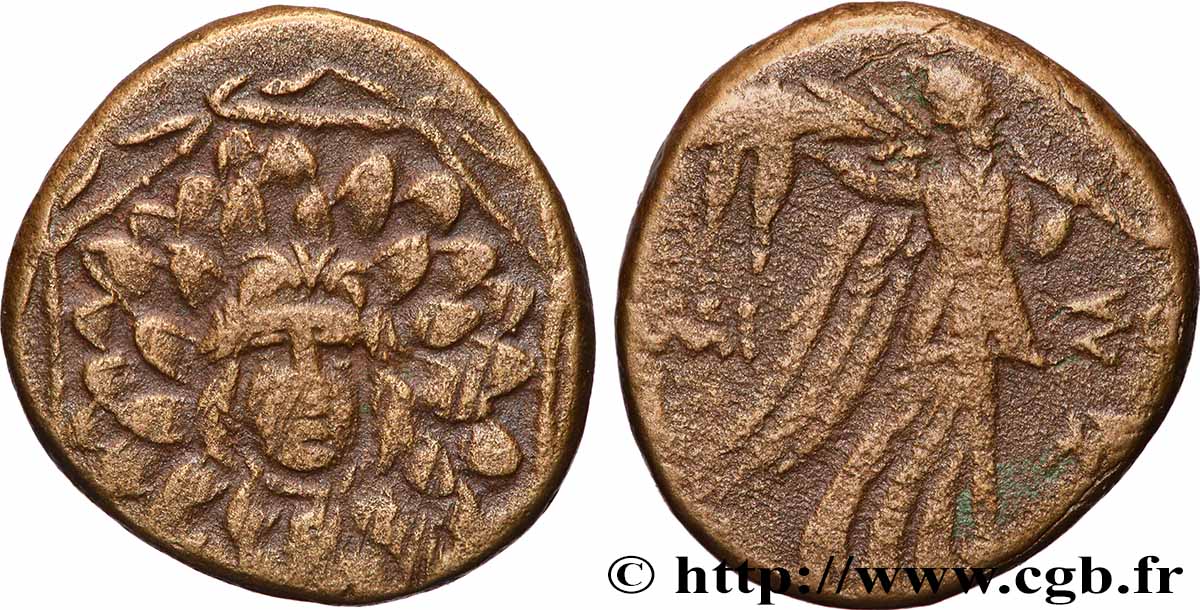 PONTUS - AMISOS Tetrachalque XF